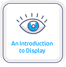 Introduction to display button