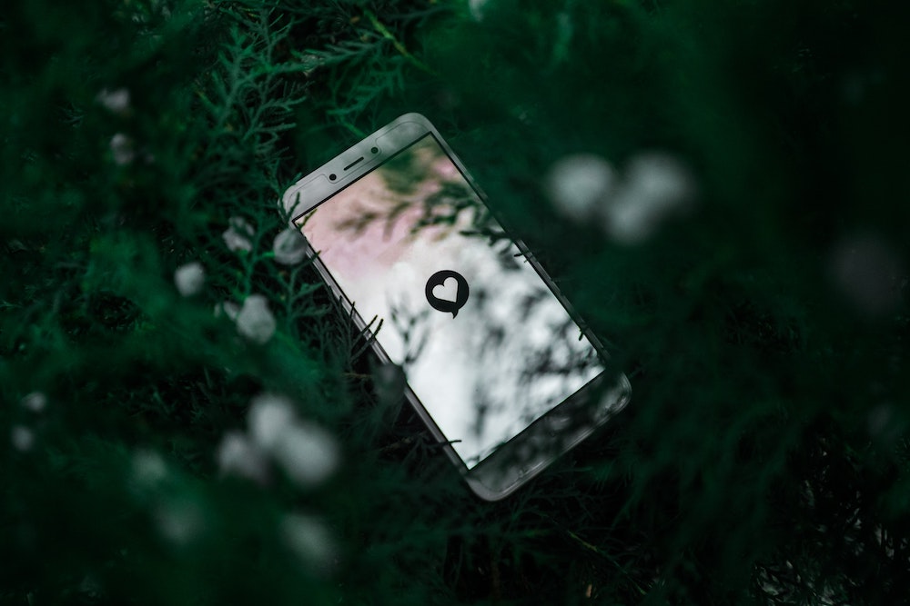 a mobile phone lying in foliage